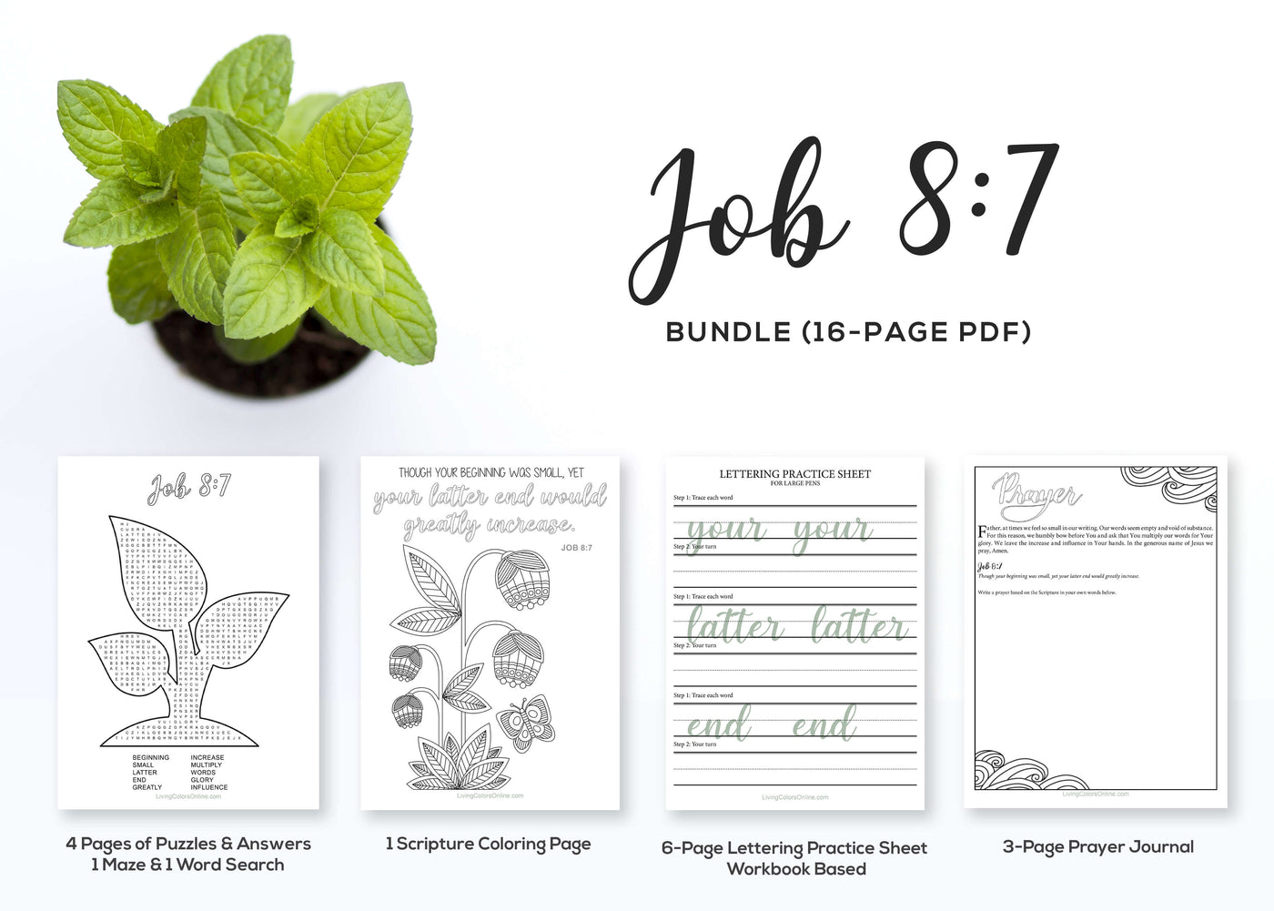 Scripture Printable Bundle #22 (Job 8:7)